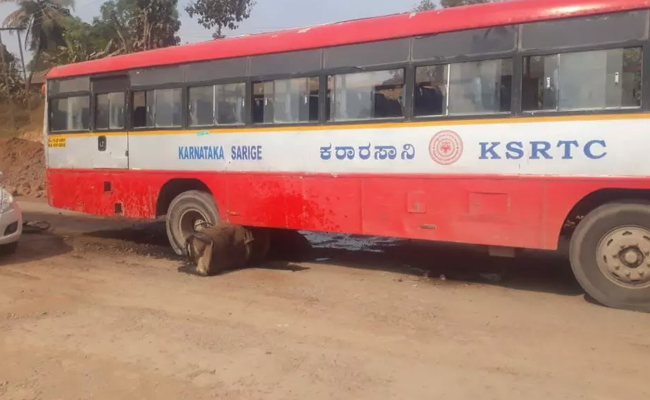 Diesel tank of KSRTC bus traveling to Arsikere falls on road in Vitla; no casualty