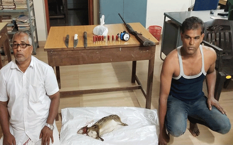 Vitla men held for poaching wild animals