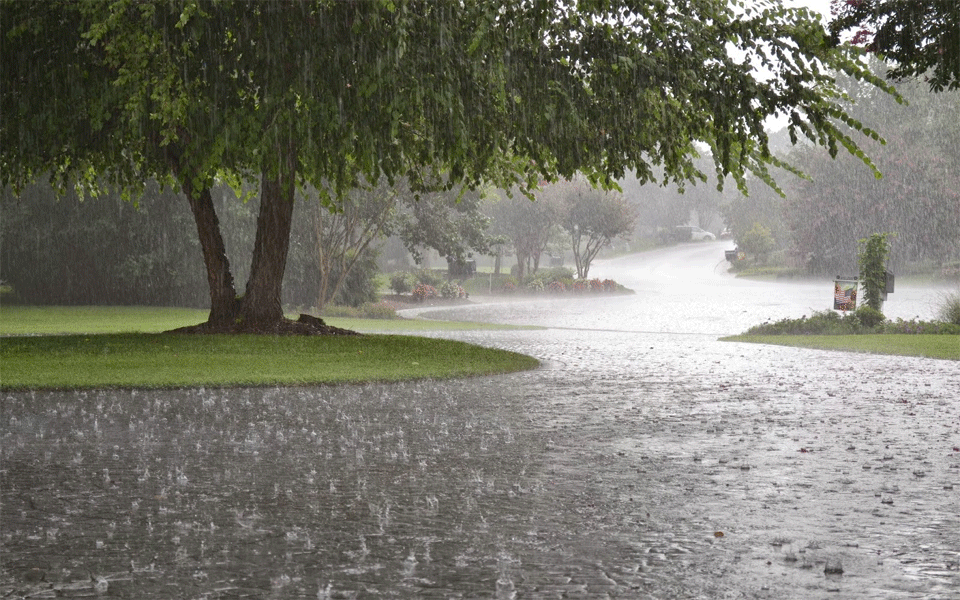 Heavy downpour in Karavali: Schools declared holiday at Sullia, Moodbidre, Belthangady, Puttur