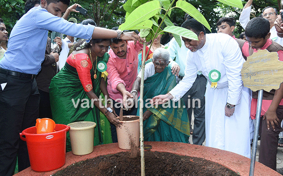 Saalumarada Thimmakka at St. Aloysius College