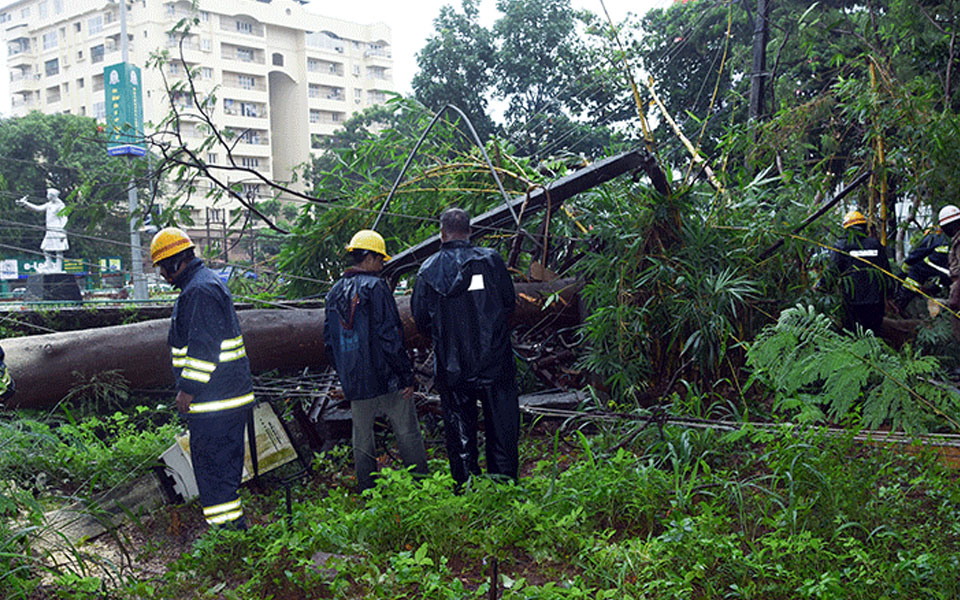 Mangaluru: Tree falls on transformer