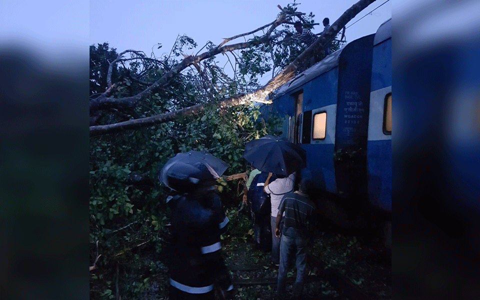 Heavy rains in Coastal Karnataka: Huge tree falls on moving train in Udupi