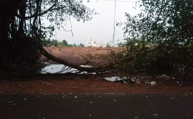 Thunderstorm hits Mangaluru, causes traffic disruptions and power outages