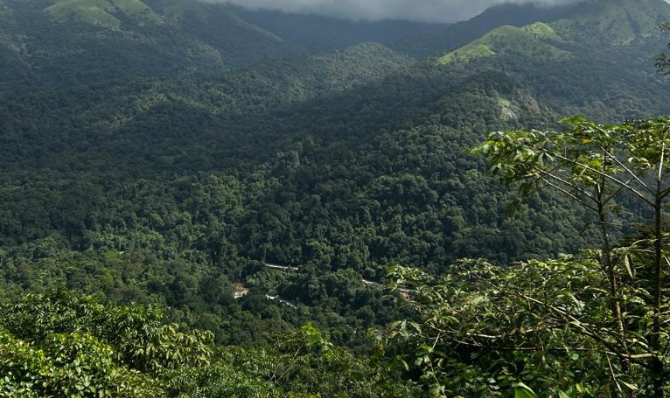 Karnataka: Ministry seeks report after NGO flags violations in NH 169 widening