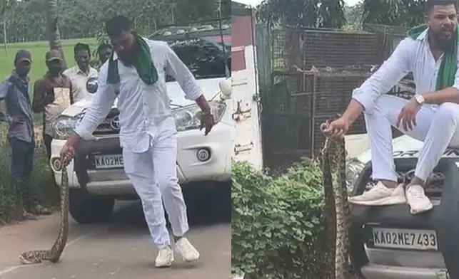 Shivamogga: Case filed over cruelty towards snakes during photoshoot