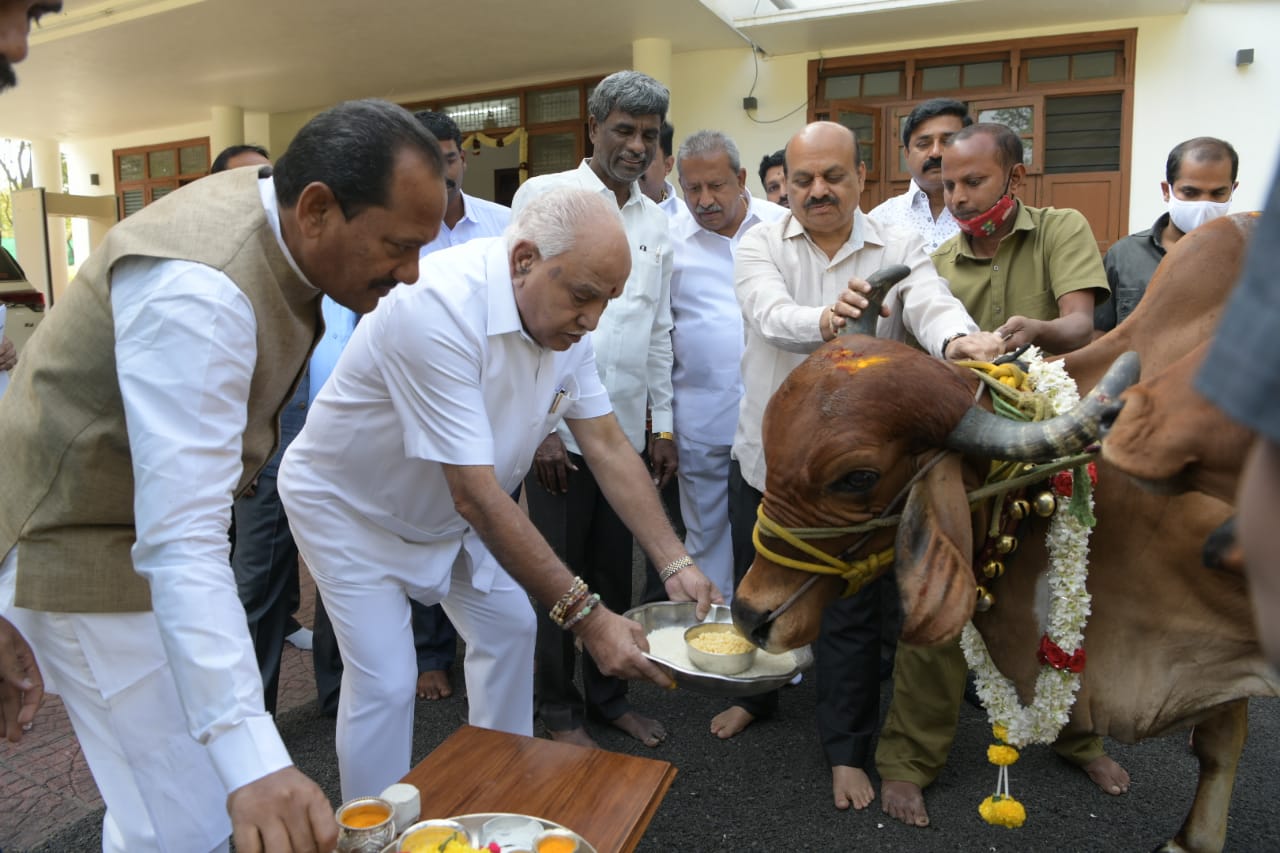 Karnataka CM BSY celebrates passage of anti-cow slaughter bill, worships 'Go Mata'