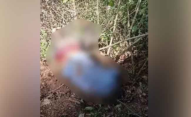 Labourer killed again in wild elephant attack in Chikkamagaluru