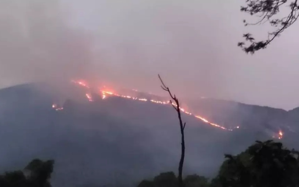 Massive accidental fire breaks out in forest of Chamrajnagar