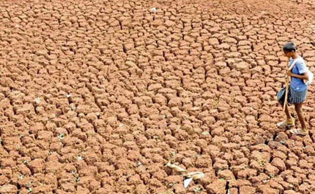 State govt declares 195 taluks drought-affected: Full list here 