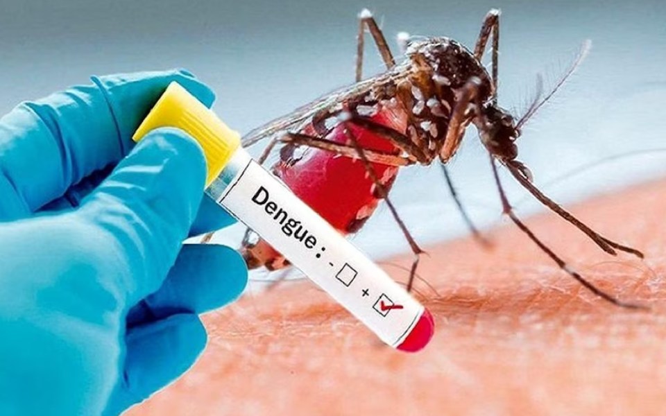 Increase in number of dengue cases reported in Karnataka, govt takes preventive measures
