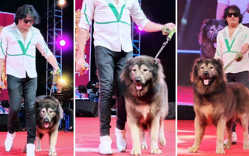ED visits Bengaluru man who claimed to have imported Rs 50-crore dog