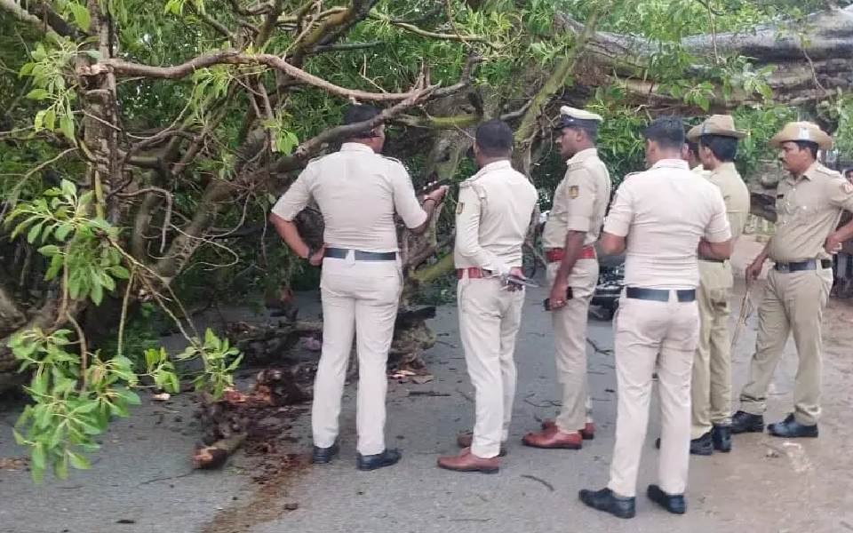 Raichur: Two killed after tree falls on moving bike in Mudgal