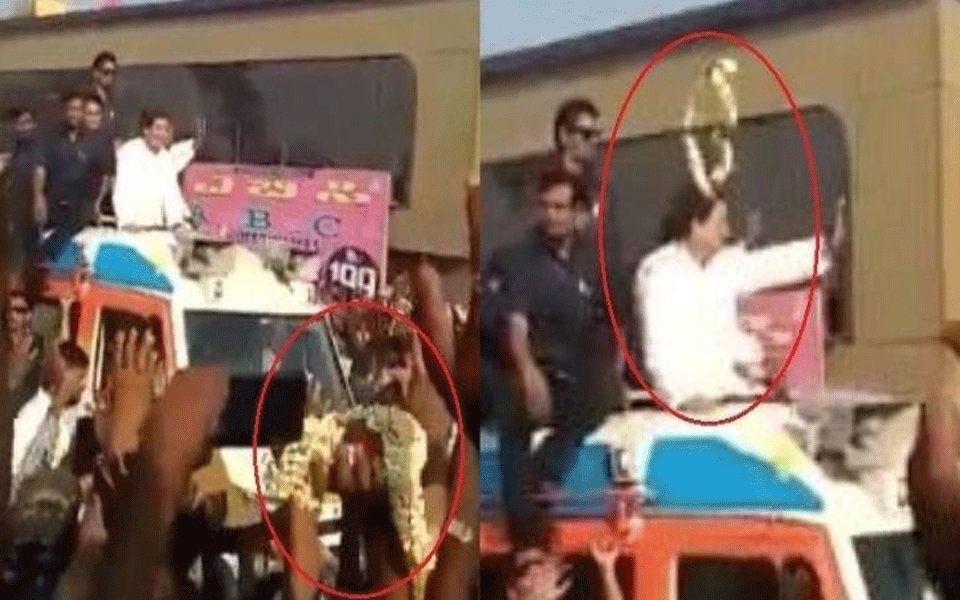 Garland thrown at Rahul Gandhi, lands neatly around his neck; video goes viral