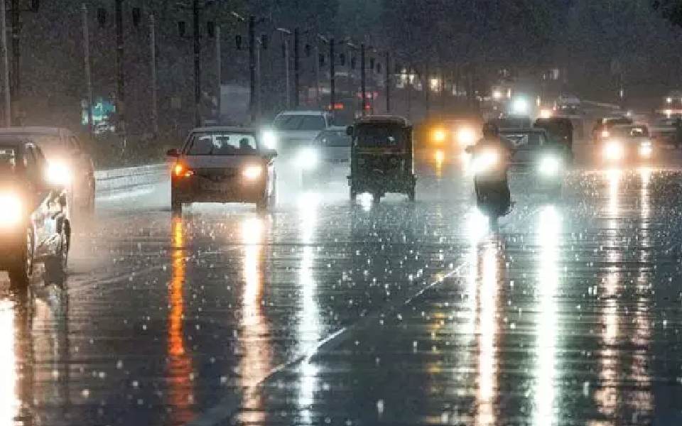 Auto driver dies after tree falls on vehicle amid rain in Bengaluru