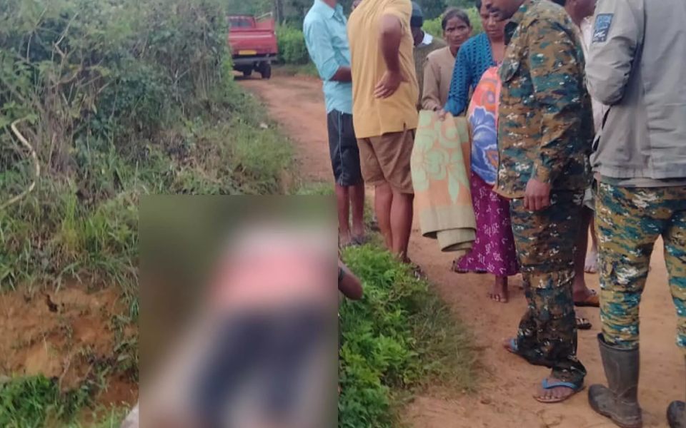 Woman worker trampled by wild elephant in Sakleshpur, dies in Hassan hospital