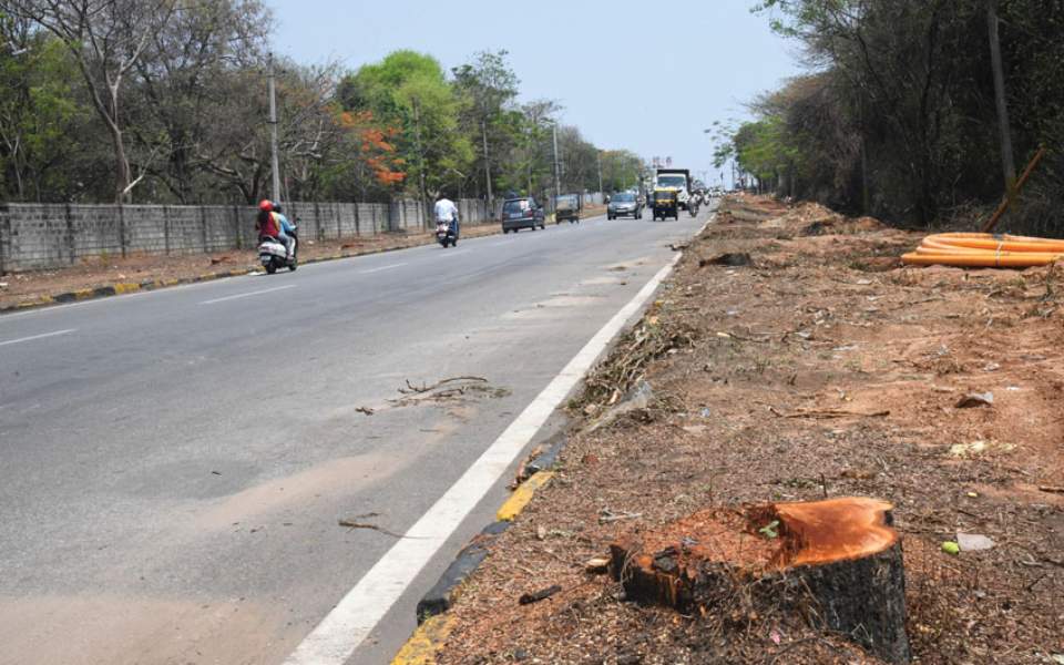 Mysuru DC directs three-member committee to investigate axing of 40 trees on Hyder Ali Road