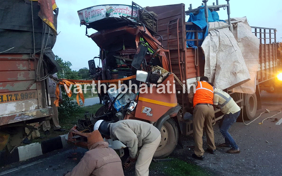 Tumkur accident: 3, including a couple, killed in road mishap