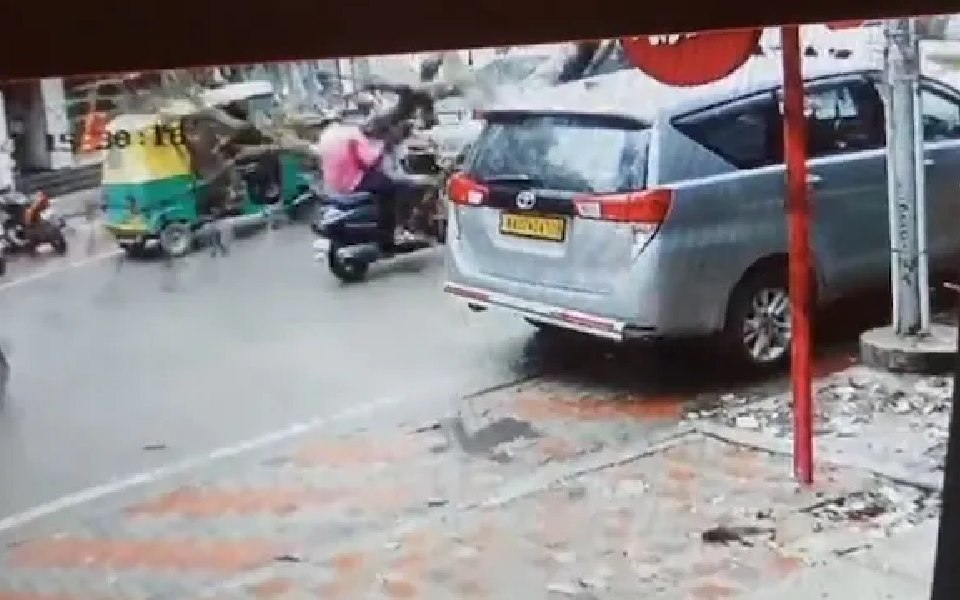 Bengaluru: Biker killed as uprooted tree fell on him
