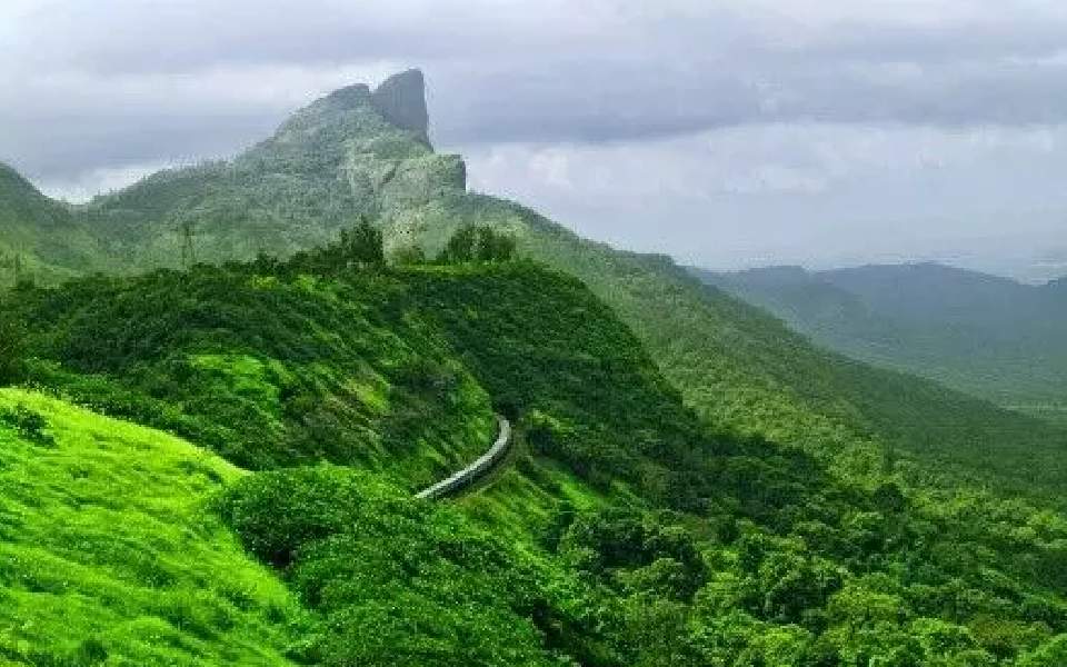 K'taka ecology Min. orders stern action against illegal establishments in Western Ghat region