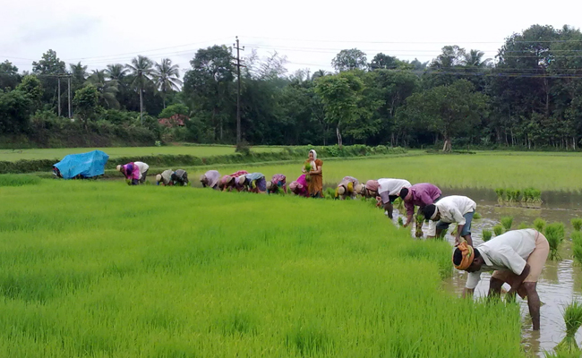 Karnataka declares 1,777 acres near Devanahalli a ‘permanent special agricultural zone’