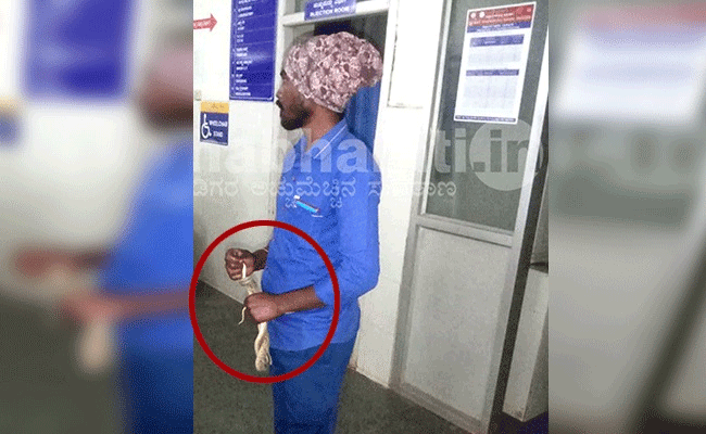 Man in Tarikere arrives at government hospital with snake after it bit him