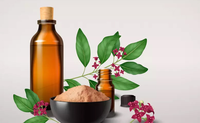 Second World Ayurveda Summit begins in Bengaluru