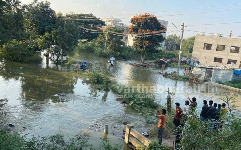 Lake bund breached, several houses flooded in Bengaluru