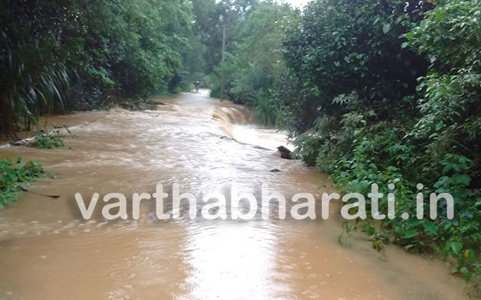 Rain wreaks havoc in Chikmagalur: Hebbal bridge completely submerged