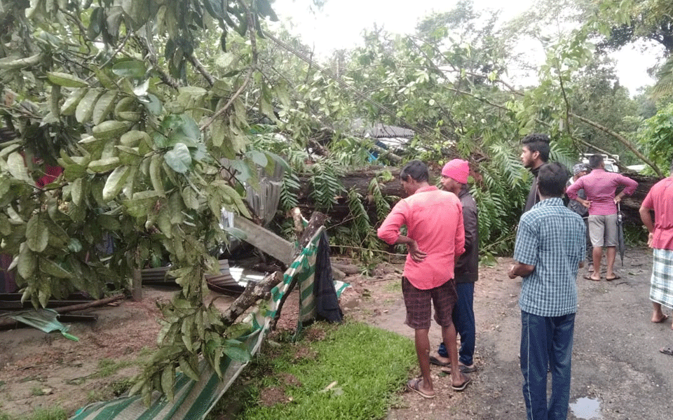 3 killed rain-related incidents in Karnataka