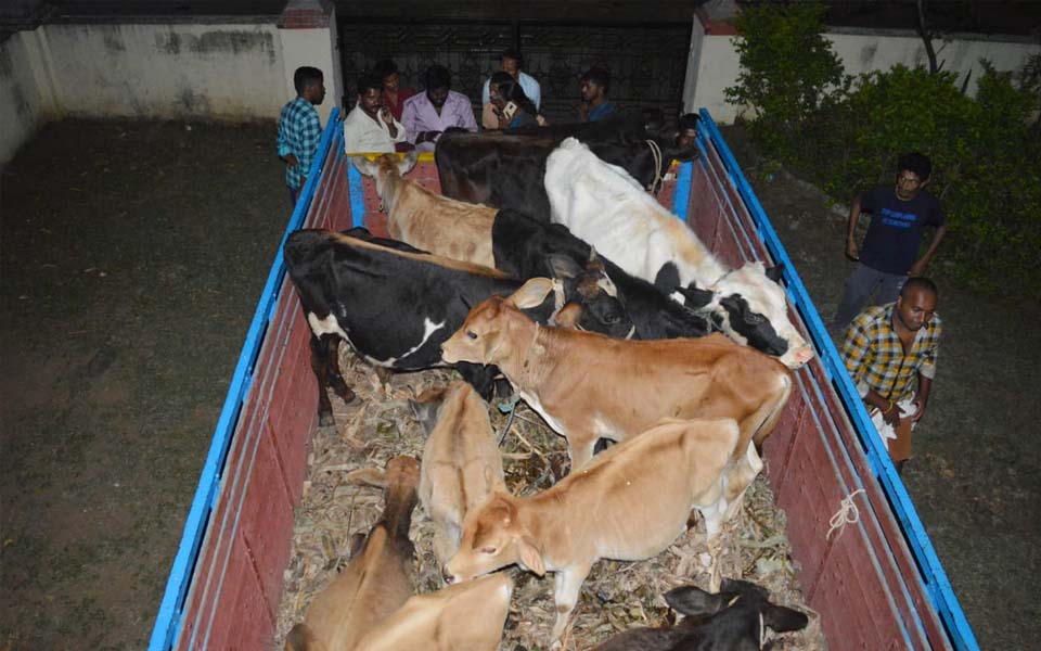 Salooru Matt in headlines again, caught selling cattle donated by devotees to slaughterhouse