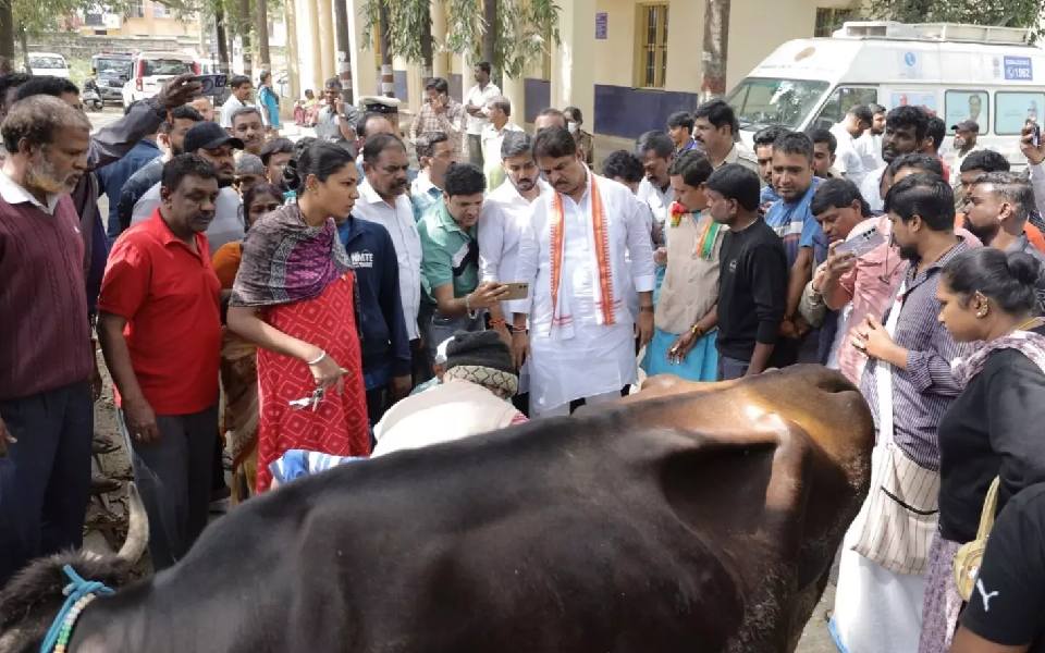 Tension in Bengaluru's Chamarajpet after miscreants attack three cows