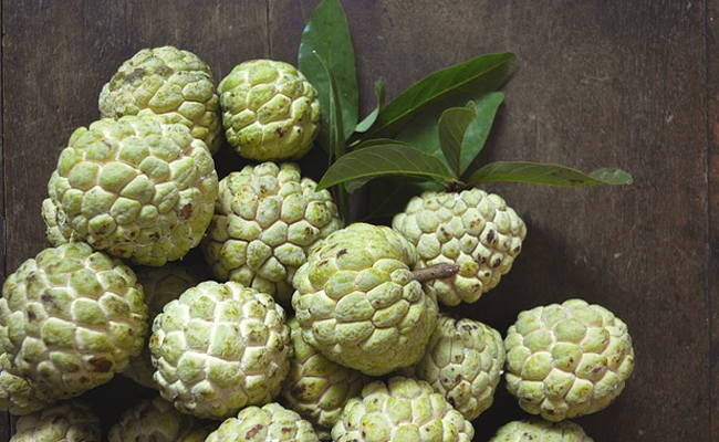 Custard Apples flood Shorapur , Yadgir markets in Karnataka, Offering  abundant health benefits