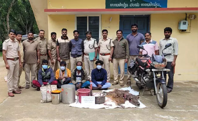 Four arrested for hunting Sambar deer in Bhadravati