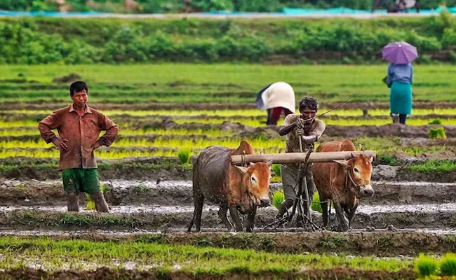 AgriWalk held in Bengaluru to spotlight value addition, farmer empowerment