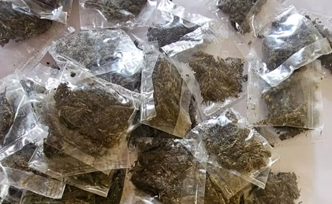 Five held for selling banned Hydro Ganja in Bengaluru