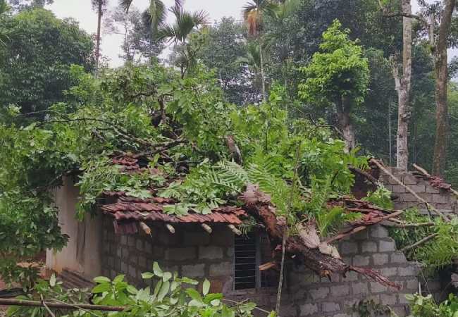 Manual worker’s house in Kalasa destroyed as tree falls on it amid thunderstorm