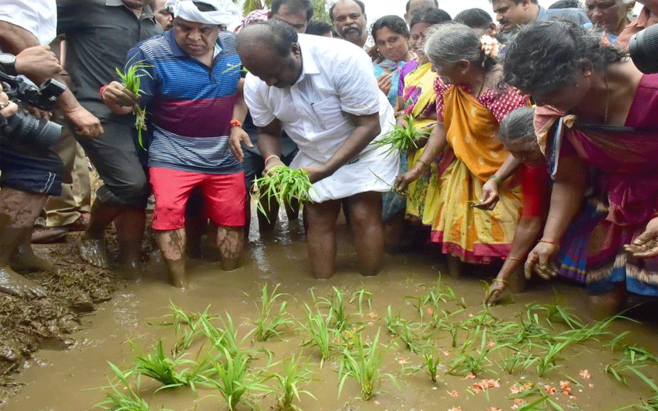 Karnataka CM turns farmer, sows paddy seedlings for bumper crop