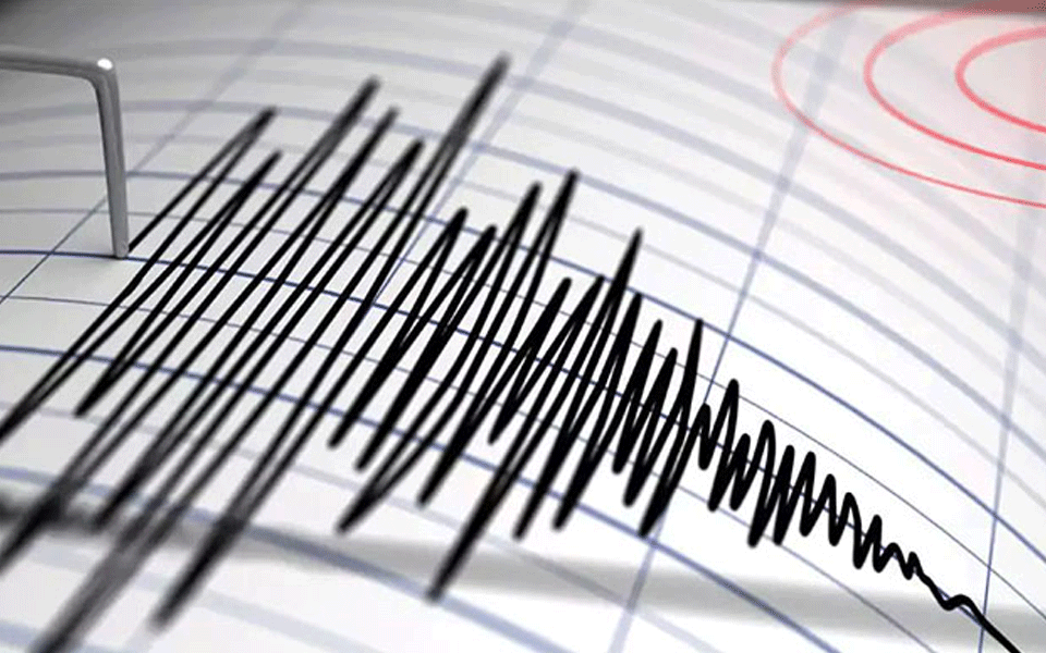 Kodagu; Magnitude of earthquake not recorded in Richter scale: Geologist