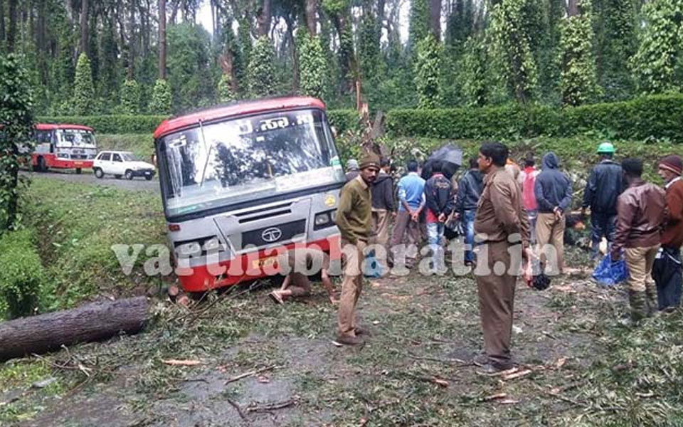 Kodagu frightened for gusty wind, hundreds of trees uprooted