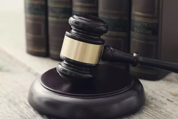2021 fatal accident case: Gangavathi court fines auto rickshaw owner Rs 1.4 crore for letting minor