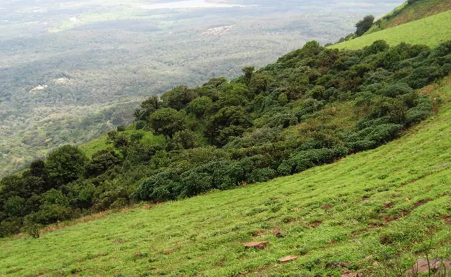 Kerala girl goes missing at Manikyadhara falls, search underway