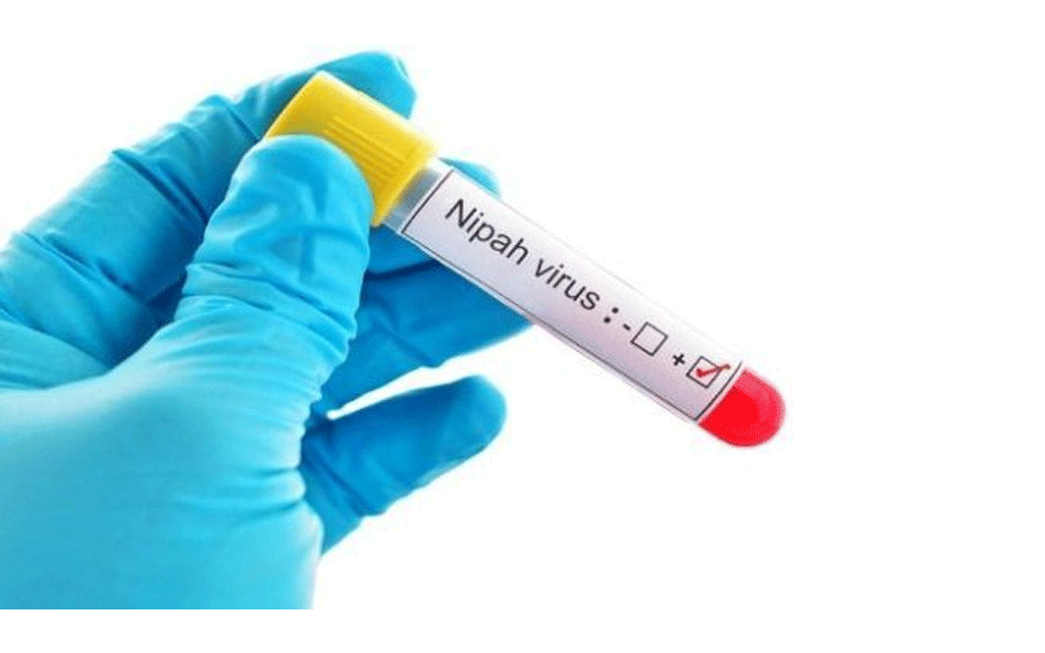 Suspected Nipah virus found in Gadag: KIMS warns precautions