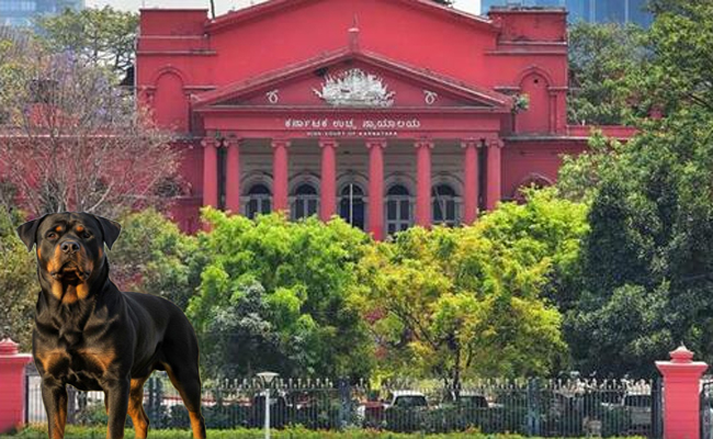 Courts clogged by frivolous fights on dogs, says senior HC judge