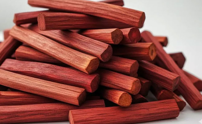 Red sandalwood worth Rs 1.75 cr seized, five held