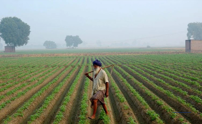Karnataka bags second rank in implementing Central crop Insurance scheme