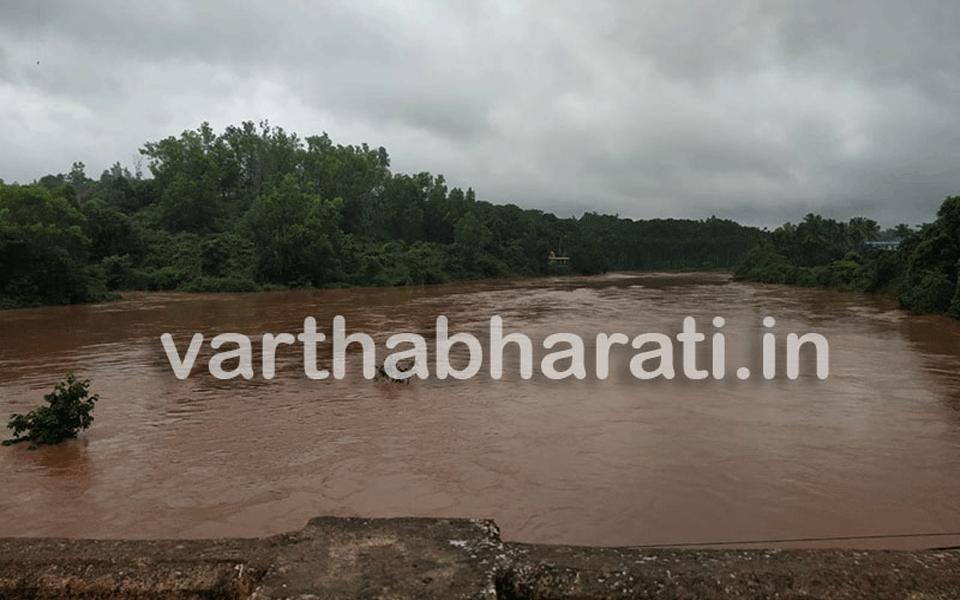 Heavy rainfall in Chikkamagaluru: Bhadra River flows above danger level