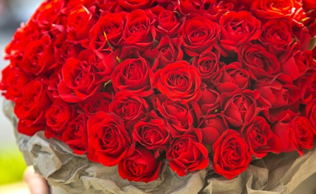 Bengaluru airport ships over 60 mn roses this Valentine's season