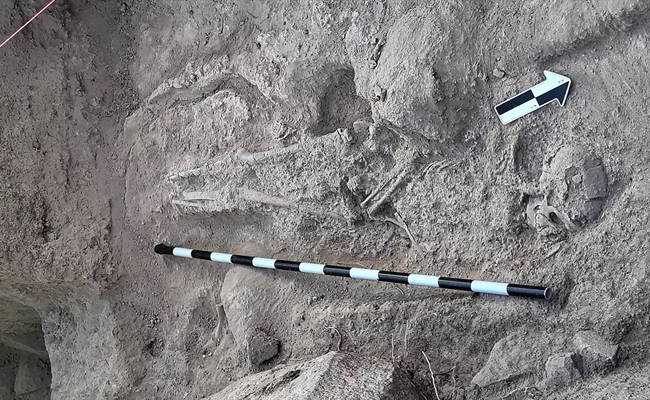 Ballari: Two human skeletons from pre-historic era excavated in Thekkalakote
