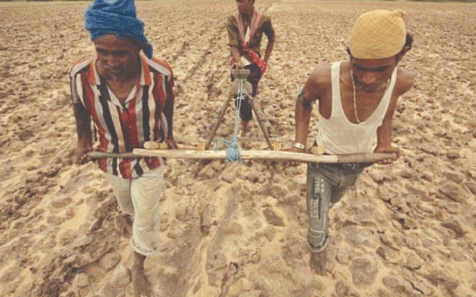 Slavery is still alive in state: 2574 bonded labourers demand relief!