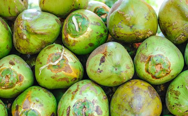 Consumers feeling the heat of rising tender coconut prices in Karnataka